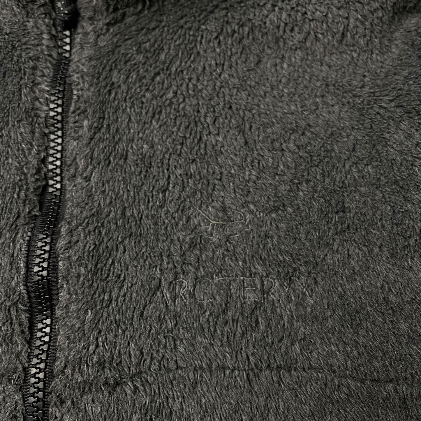 Vintage Arc'teryx Delta RS Fleece (L)