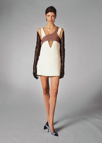 Christian Dior for Raf Raf Simons 2015 FW Dress