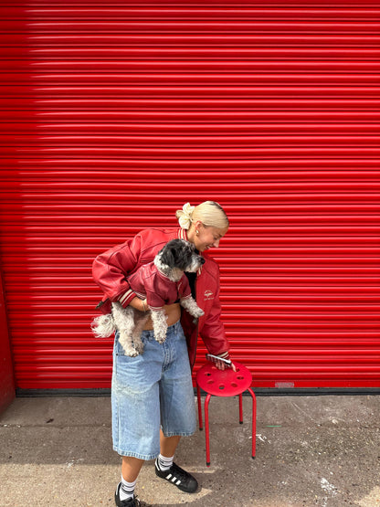 Avirex Dog Leather Jacket In Red