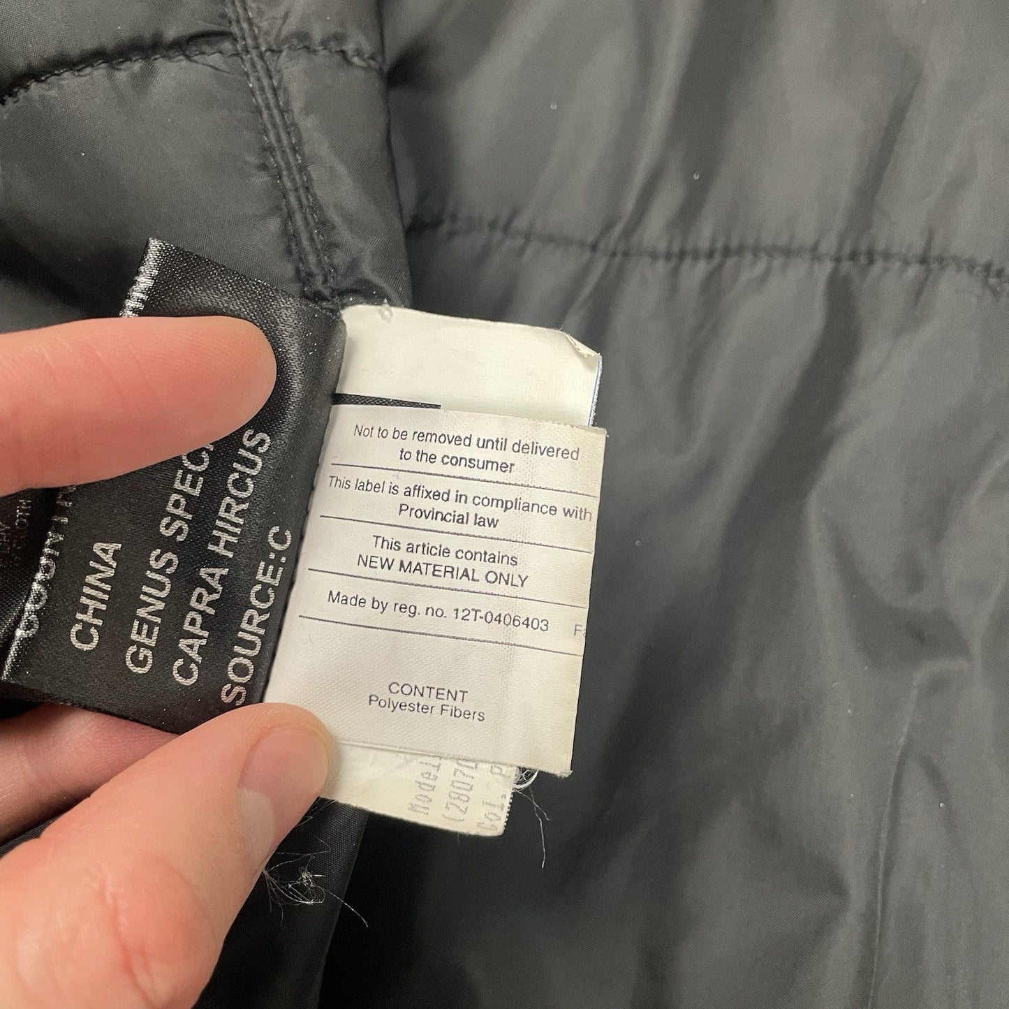 Prada Goretex Jacket Fur Trim, Size Large | O/S, Black