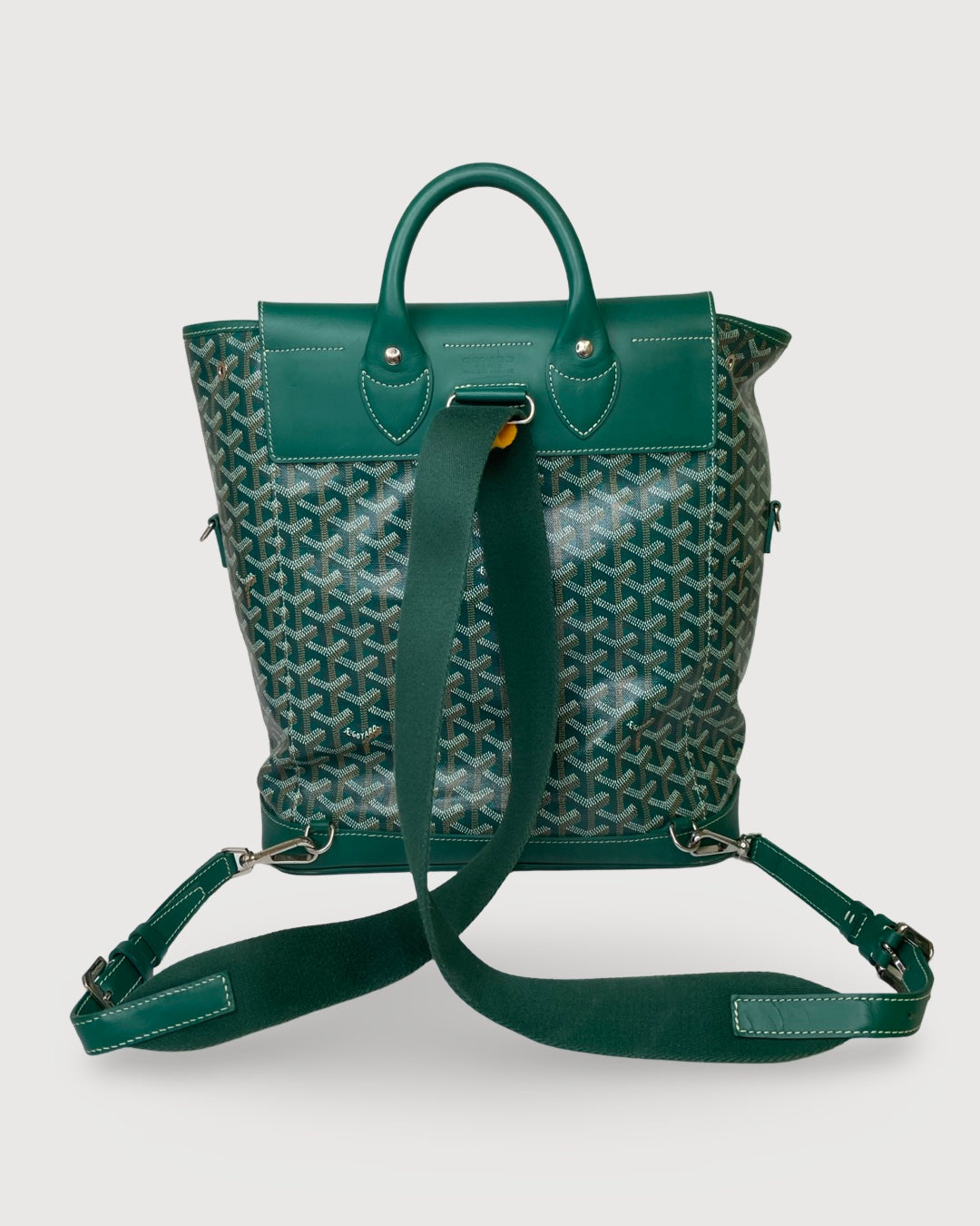Goyard Rucksack Green | O/S, Green