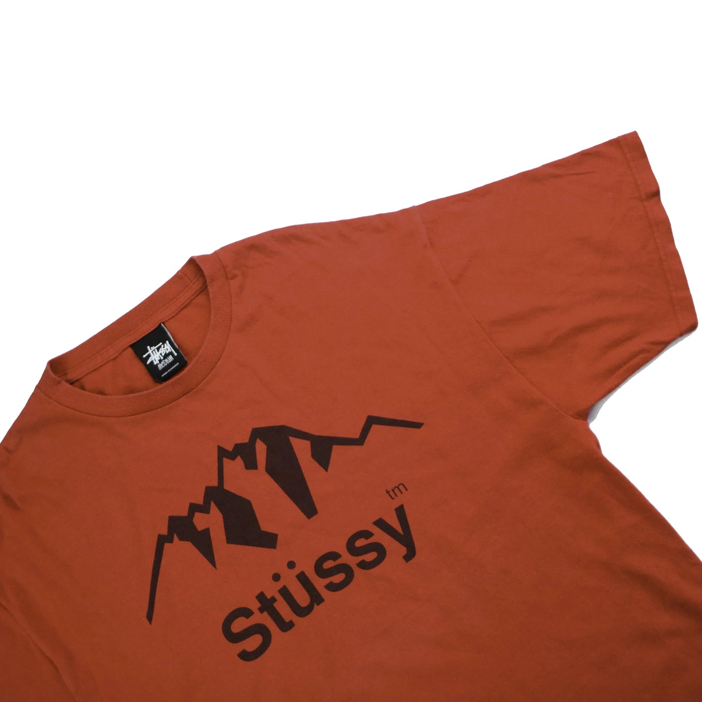 STUSSY MOUNTAIN TEE  (M)