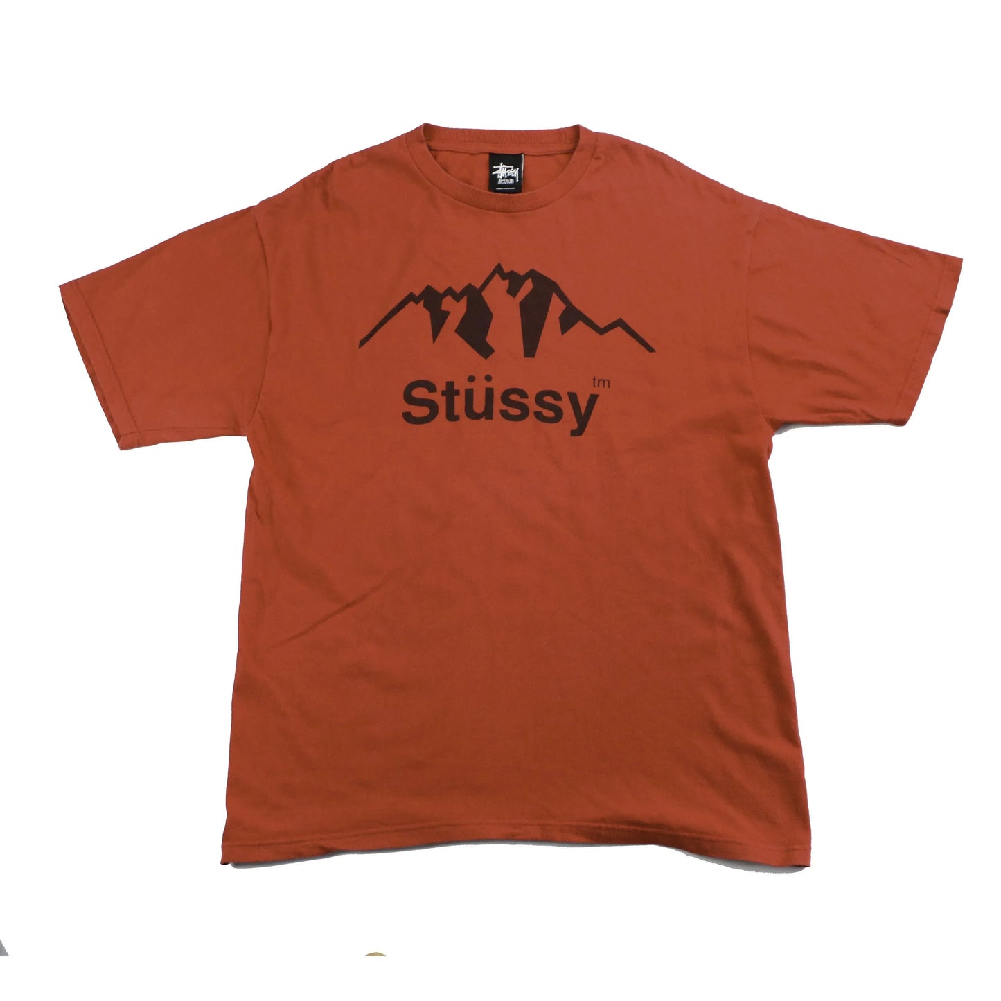 STUSSY MOUNTAIN TEE  (M)