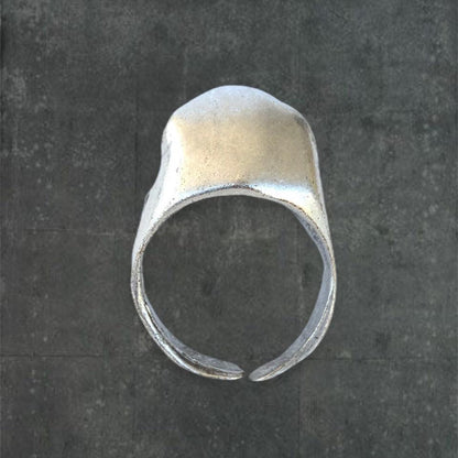 Fred the Frog Silver Ring - Known Source