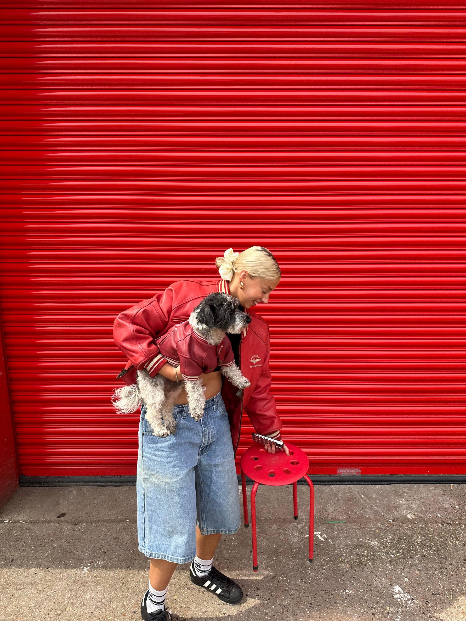 Avirex Dog Leather Jacket In Red - Known Source