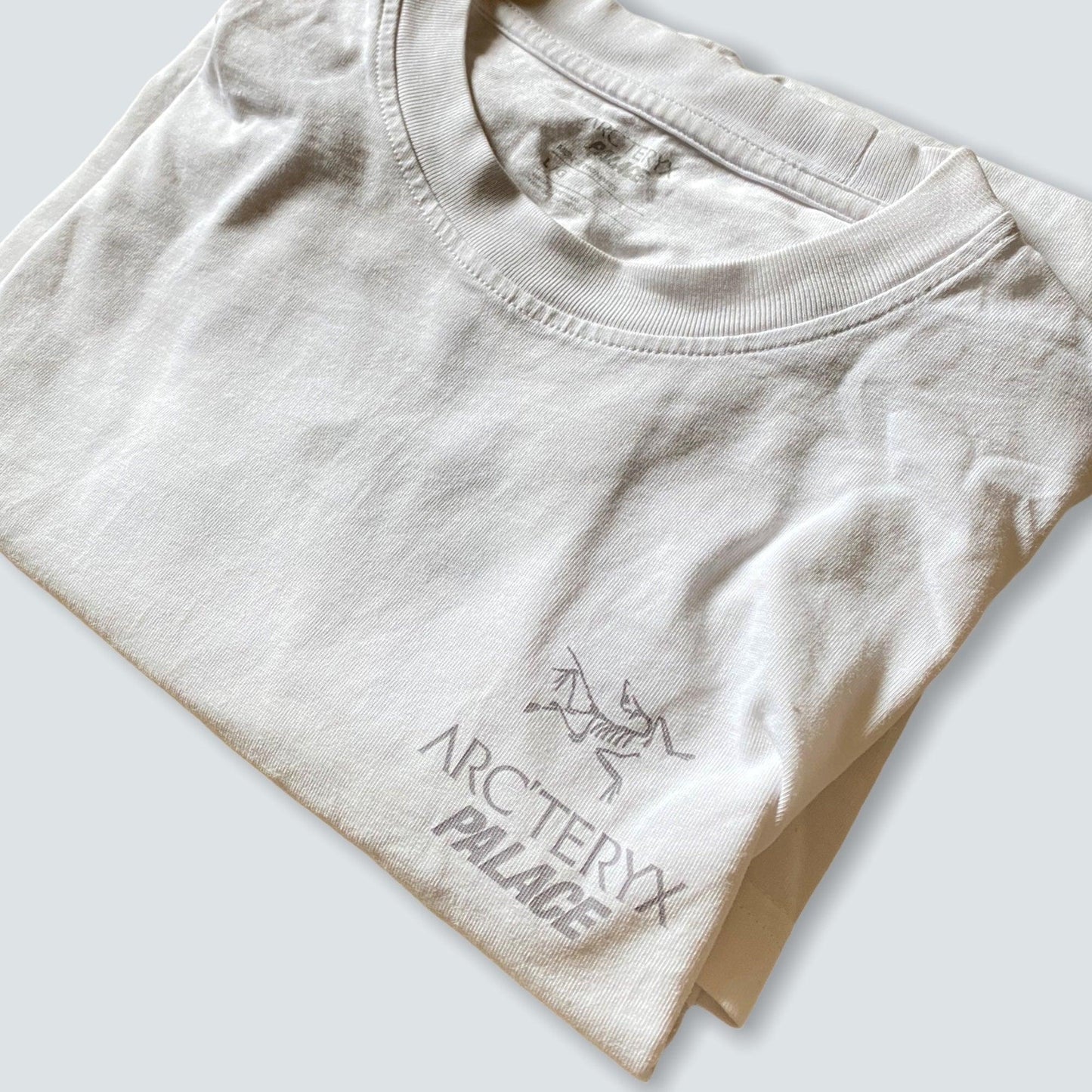 Palace Arc'Teryx T-Shirt White (L) - Known Source