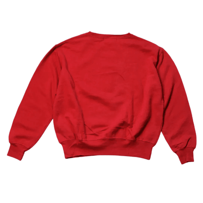 POLO SPORT FLAG SWEATER (S) - Known Source